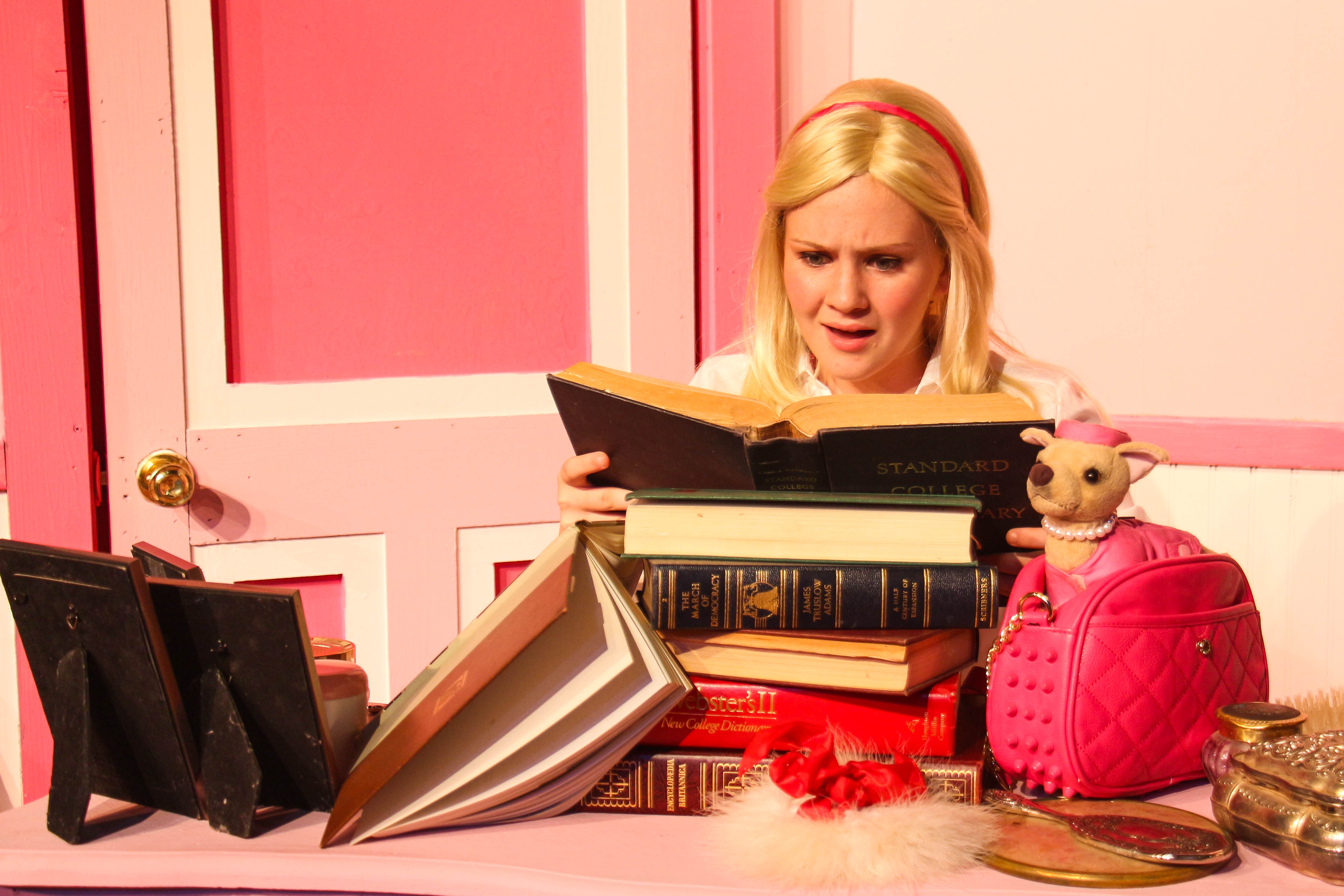 Legally Blonde Jr New Stage Theatre 
